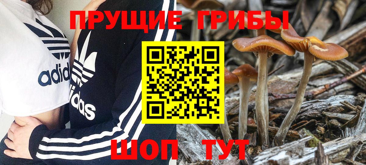 Галлюциногенные грибы GOLDEN TEACHER Мелеуз