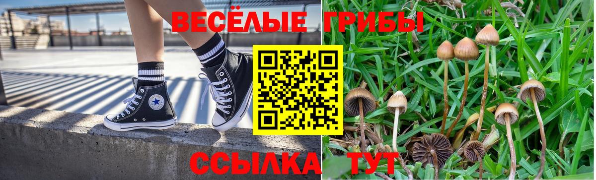 Псилоцибиновые грибы MAGIC MUSHROOMS  Вход с VPN  Мелеуз 